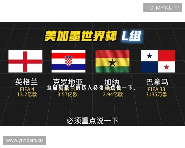 世界杯L组最终排名分析